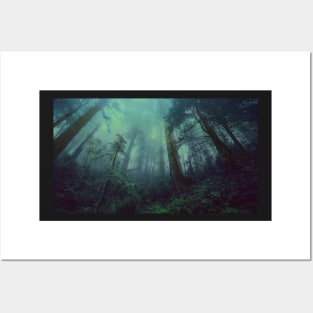 blue green forest Posters and Art